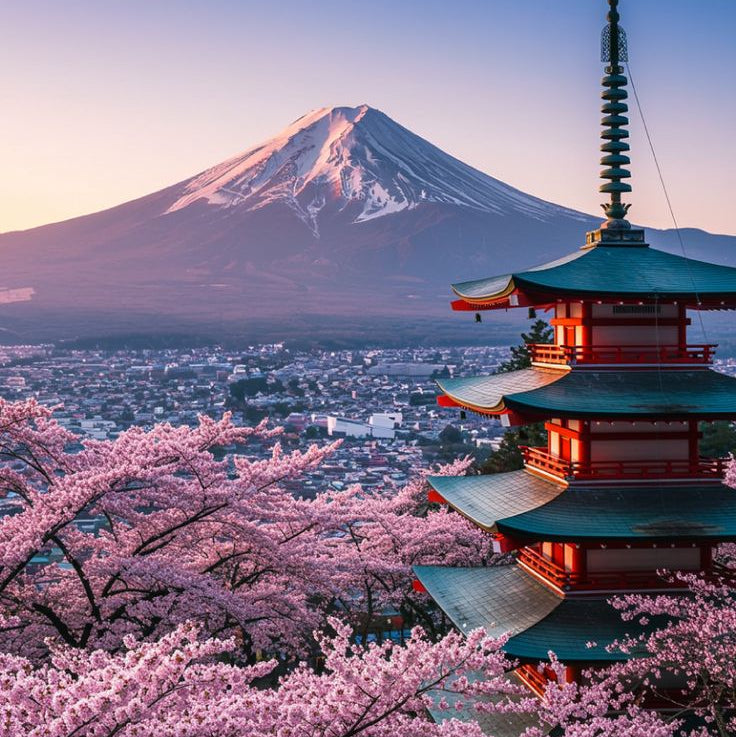Japan tourist visa application and documentation services by Vizago.in